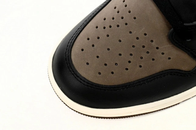 OG Palomino Air DZ5485-020 1 Jordan High 0731